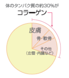 コラーゲン