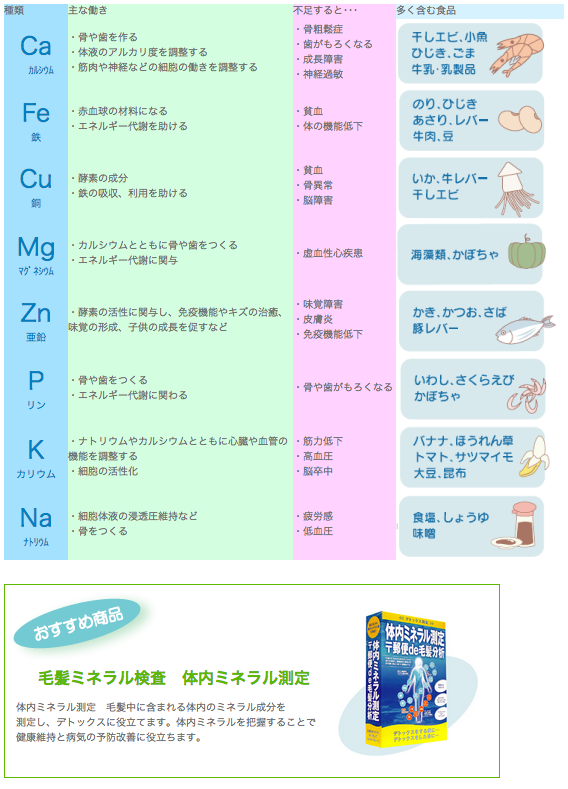 体内ミネラル測定