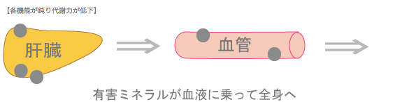 有害肝臓