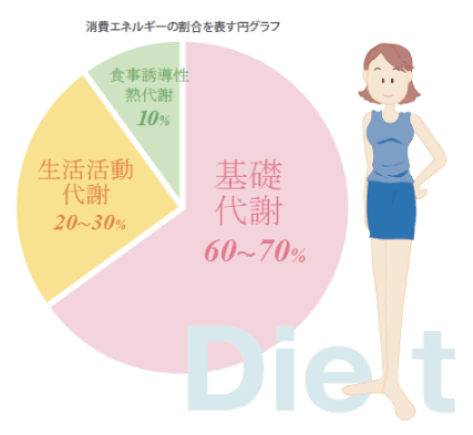 基礎代謝グラフ
